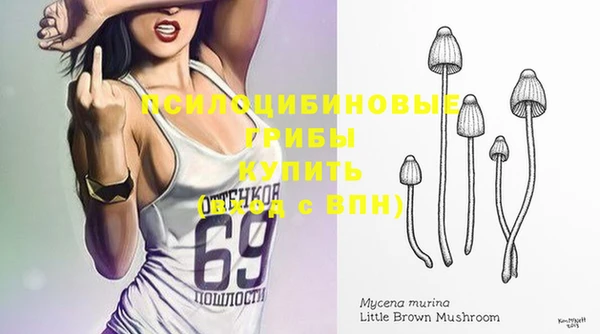 соль курить ск Бородино