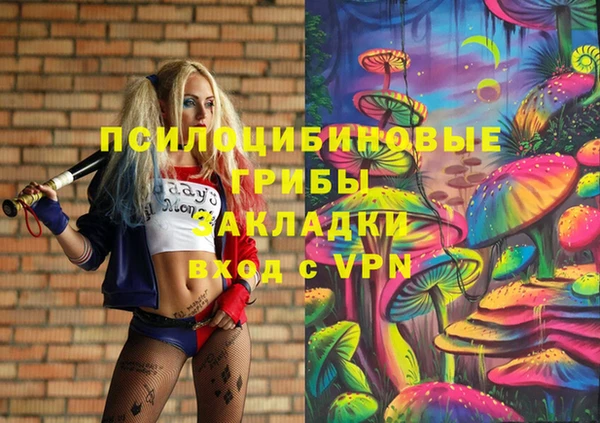 соль курить ск Бородино
